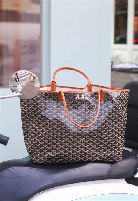 owto clean inside goyard bag|goyard bathing suit care.